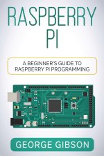 Raspberry Pi