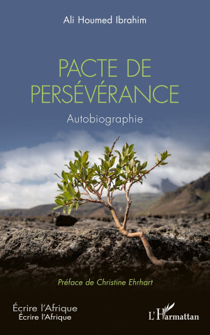 Pacte de persévérance