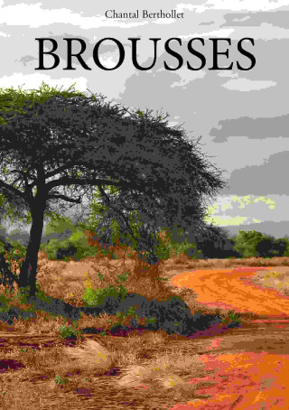 BROUSSES