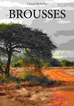 BROUSSES