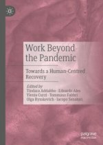 Work Beyond the Pandemic