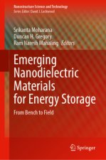 Emerging Nanodielectric Materials for Energy Storage