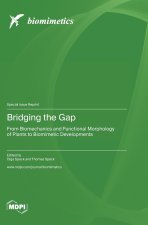 Bridging the Gap