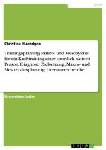 Trainingsplanung Makro- und Mesozyklus für ein Krafttraining einer sportlich aktiven Person. Diagnose, Zielsetzung, Makro- und Mesozyklusplanung, Lite