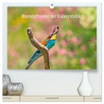 Bienenfresser im Kaiserstuhl (hochwertiger Premium Wandkalender 2024 DIN A2 quer), Kunstdruck in Hochglanz
