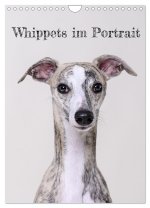Whippets im Portrait (Wandkalender 2024 DIN A4 hoch), CALVENDO Monatskalender