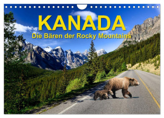 KANADA - Die Bären der Rocky Mountains (Wandkalender 2024 DIN A4 quer), CALVENDO Monatskalender