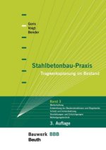 Stahlbetonbau-Praxis - Band 3