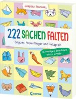 333 Sachen falten - in wenigen Schritten leicht erklärt