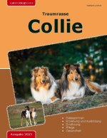 Traumrasse: Collie