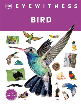 Eyewitness Bird