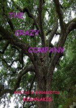 The Crazy Company