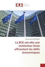 La BCE est-elle une institution forte affrontant les défis économiques