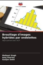 Brouillage d'images hybrides par ondelettes