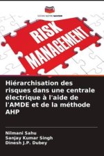 Hiérarchisation des risques dans une centrale électrique ? l'aide de l'AMDE et de la méthode AHP