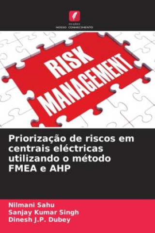 Priorizaç?o de riscos em centrais eléctricas utilizando o método FMEA e AHP