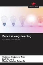 Process engineering