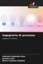 Ingegneria di processo