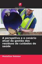 A perspetiva e o cenário atual da gest?o dos resíduos de cuidados de saúde