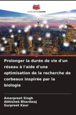 Prolonger la durée de vie d'un réseau ? l'aide d'une optimisation de la recherche de corbeaux inspirée par la biologie