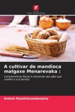 A cultivar de mandioca malgaxe Menarevaka :