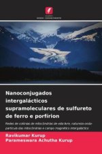 Nanoconjugados intergalácticos supramoleculares de sulfureto de ferro e porfírion