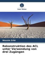 Rekonstruktion des ACL unter Verwendung von drei Zugängen