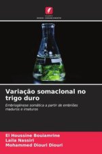 Variaç?o somaclonal no trigo duro