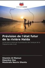 Prévision de l'état futur de la rivi?re Halda