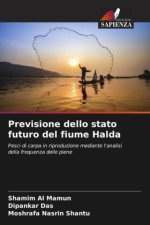 Previsione dello stato futuro del fiume Halda