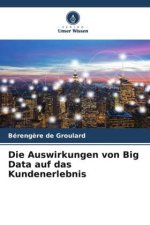Die Auswirkungen von Big Data auf das Kundenerlebnis