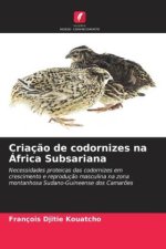 Criaç?o de codornizes na África Subsariana