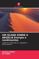 UM OLHAR SOBRE A ARGÉLIA Energia e rendimentos