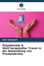Polyphenole & Weit hergeholter Traum in der Behandlung von Prostatakrebs