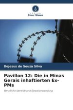 Pavillon 12: Die in Minas Gerais inhaftierten Ex-PMs
