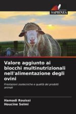 Valore aggiunto ai blocchi multinutrizionali nell'alimentazione degli ovini