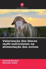 Valorizaç?o dos blocos multi-nutricionais na alimentaç?o dos ovinos