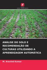 ANÁLISE DO SOLO E RECOMENDAÇ?O DE CULTURAS UTILIZANDO A APRENDIZAGEM AUTOMÁTICA