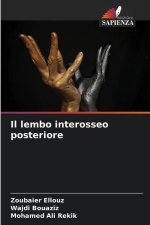 Il lembo interosseo posteriore