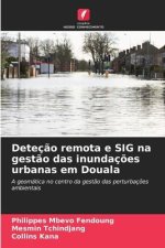 Deteç?o remota e SIG na gest?o das inundaç?es urbanas em Douala