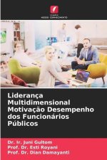 Liderança Multidimensional Motivaç?o Desempenho dos Funcionários Públicos