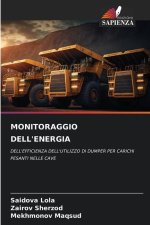 MONITORAGGIO DELL'ENERGIA