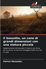 Il bassotto, un cane di grandi dimensioni con una statura piccola
