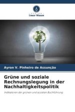 Grüne und soziale Rechnungslegung in der Nachhaltigkeitspolitik