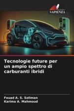 Tecnologie future per un ampio spettro di carburanti ibridi