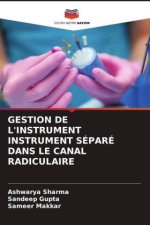 GESTION DE L'INSTRUMENT INSTRUMENT SÉPARÉ DANS LE CANAL RADICULAIRE