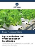 Aquaponischer und hydroponischer Salatanbau