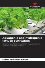 Aquaponic and hydroponic lettuce cultivation