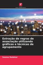 Extraç?o de regras de associaç?o utilizando gráficos e técnicas de agrupamento
