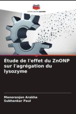 Étude de l'effet du ZnONP sur l'agrégation du lysozyme